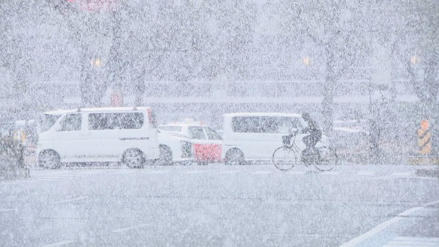 12日朝は岡山市中心部で雪　後楽園も雪化粧　午後からは雨の地域が多い予想　岡山・香川