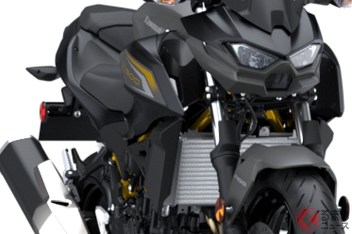 国産車ではレアな“500cc”バイク カワサキのスーパーネイキッド「Z500