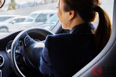 運転中「目の前に蜂！」車内の緊急事態時どう対処すべき？ 手軽な予防法とは