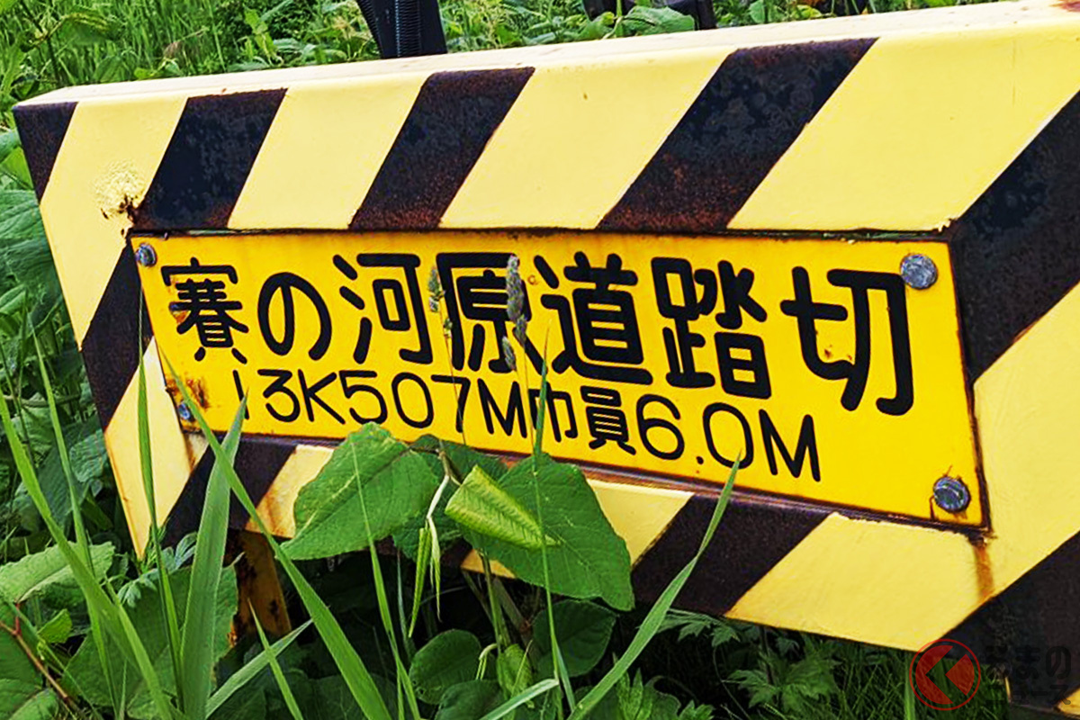 渡ったら「帰って来られない!?」 身の毛もよだつ「渡りづらい」踏切とは？「石が積んである？」の声も