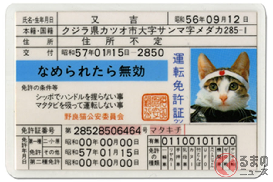 もはや懐かしい…80年代に流行った「なめ猫」いまどうなってる？ 昔は皆