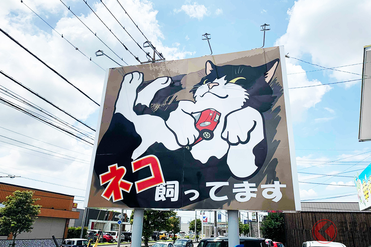 中古車屋に「ネコ飼っています」看板なぜ設置？ ウワサ「長野で納車