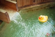 高速降りずに「ひとっ風呂」!? 謎の「ハイウェイ温泉」数百円でリフレッシュできるの最高！ 利用者の感想は？