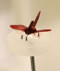 禎子さんの折り鶴、NYで展示　同時テロから22年、州博物館で