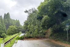 台風6号、記録的大雨　7号はお盆に影響の恐れ