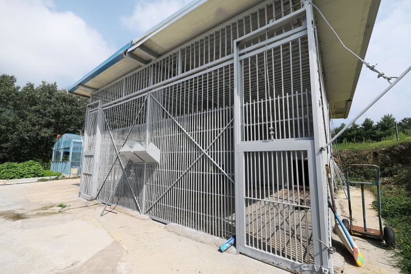 ライオン脱走し射殺、70人避難　韓国・慶尚北道の農場