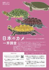 身近にいるのどんなカメ？　スマホで生息調査、協力を