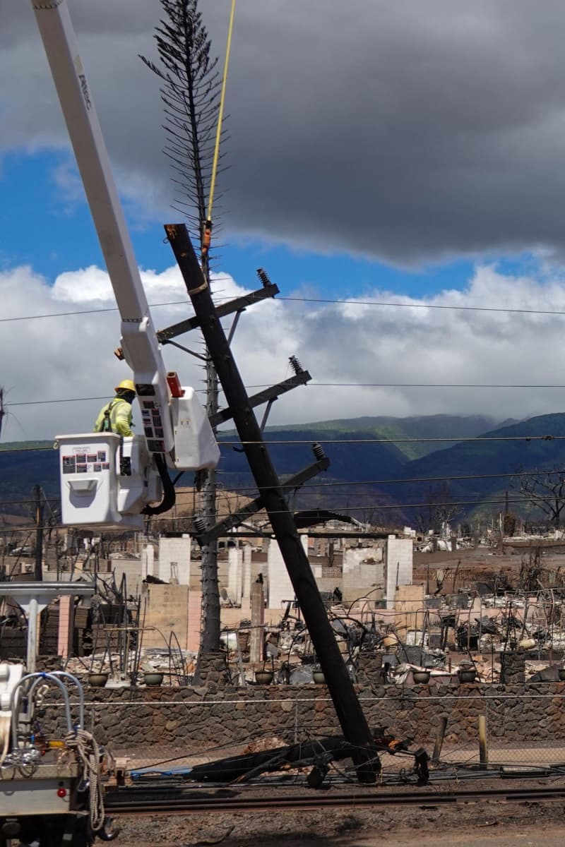 ハワイ火災、死者106人に　送電線から出火疑い強まる