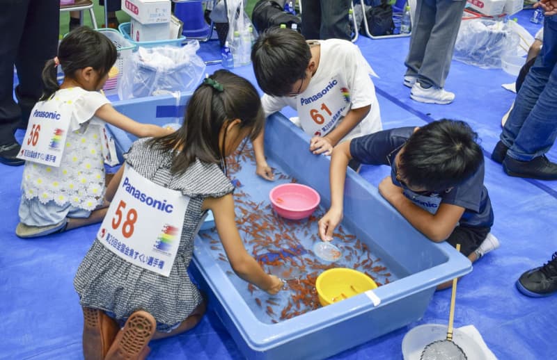 奈良県で金魚すくいの全国大会　小5女児92匹、兄と優勝