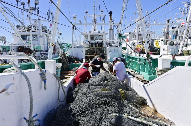 処理水放出決定「闇討ちのよう」　福島の魚買い支える客も