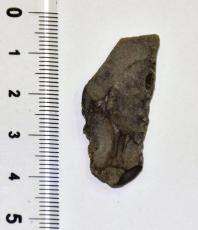 3万年前のやり先出土、島根　黒曜石製、狩猟用か