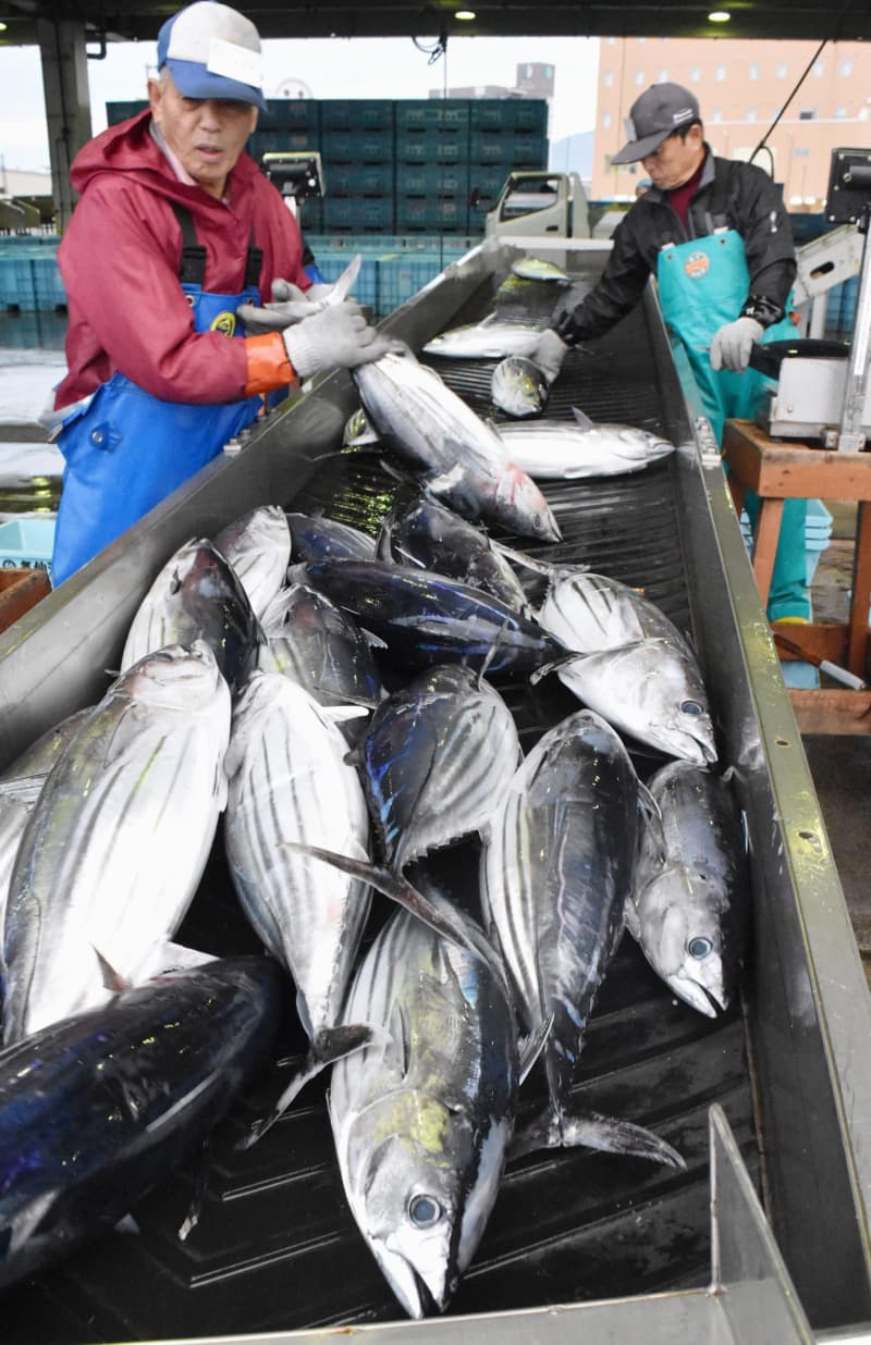 宮城県、漁業支援に3億円　利子補給や賠償説明会