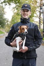 ウクライナで爆発物探知犬が活躍　地雷除去「ハチ公のライバル」