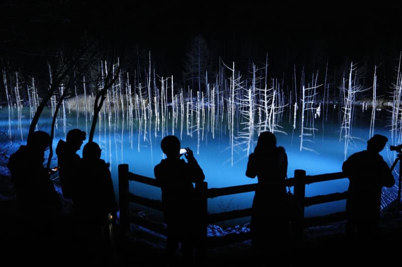 氷点下の夜、浮かぶ「青い池」　北海道・美瑛でライトアップ