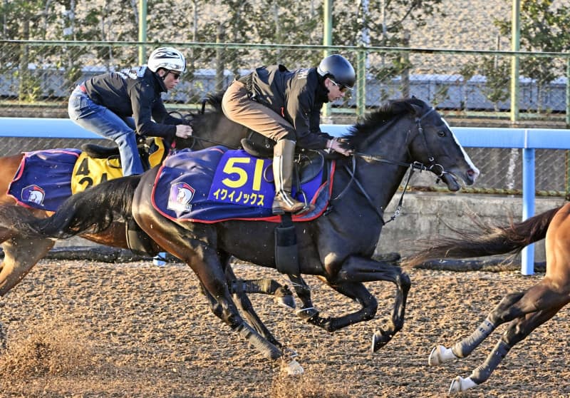 イクイノックスは万全　ジャパンC最終追い切り