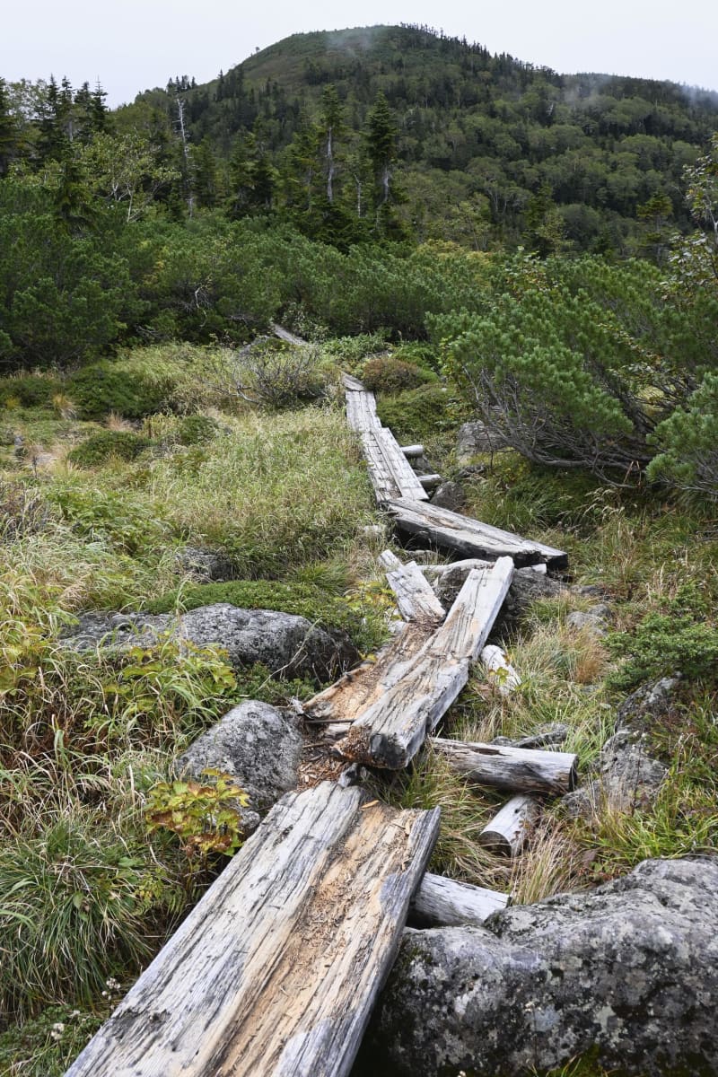 国立公園の歩道5割、管理者不在　登山道荒廃、災害対応にも課題