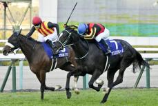 アスコリピチェーノが優勝　競馬の阪神JF