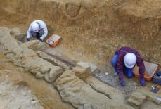 富雄丸山古墳の木棺調査、奈良　未盗掘、被葬者像解明へ