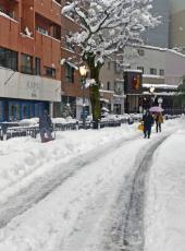 北陸大雪、転倒やスリップ相次ぐ　新幹線に遅れ、能登で停電も