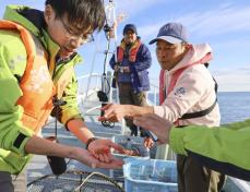 深海生物、収集現場を中継　海遊館、高知・室戸で