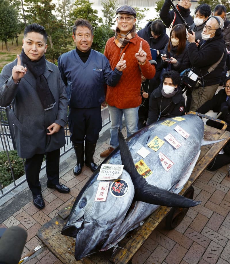 大間産クロマグロに1億1千万円　東京・豊洲市場で初競り