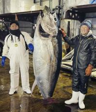 クロマグロ最高値「念願かなう」　青森の漁師・菊池さん