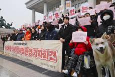 韓国、犬肉食を禁止へ　法案可決、長年の習慣終了