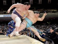 照ノ富士9度目V、決定戦制す　初場所、琴ノ若は大関昇進へ