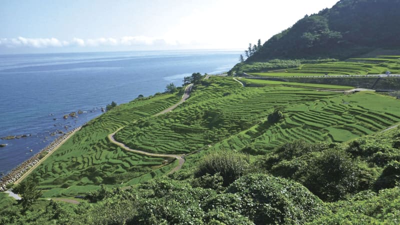 能登の千枚田「歴史消さない」　輪島市がドローン調査実施