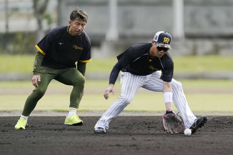 阪神・木浪、尽きない向上心　鳥谷さんから守備指導