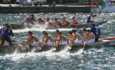 迫力の「櫂伝馬競漕」　和歌山・串本、水門祭