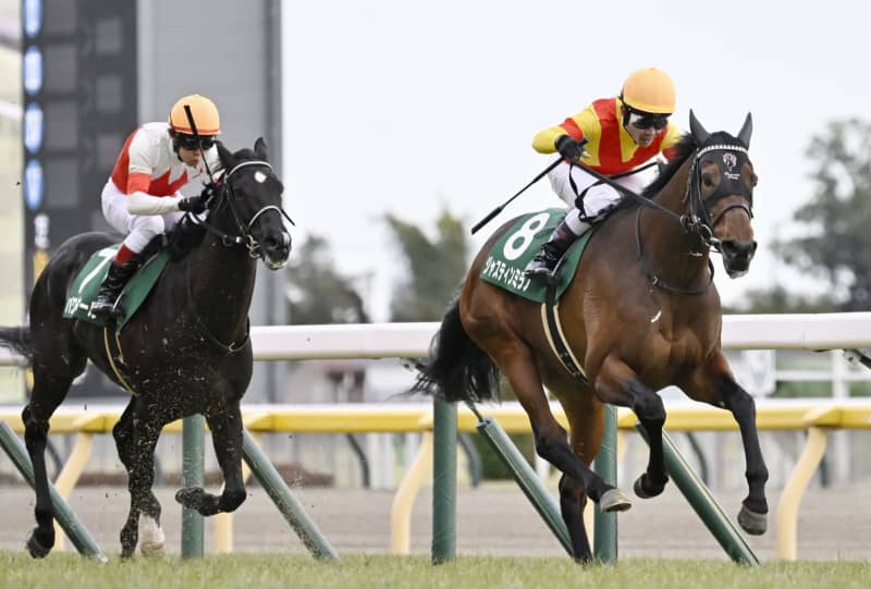 ジャスティンミラノが優勝　競馬の共同通信杯