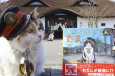 猫の初代たま駅長、絵本が話題　和歌山電鉄、2カ月で重版