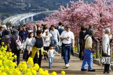 冬なのに、夏日観測　90地点で2月の過去最高気温