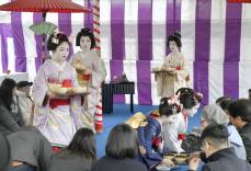 京都・北野天満宮で「梅花祭」　芸舞妓の振る舞うお茶味わう