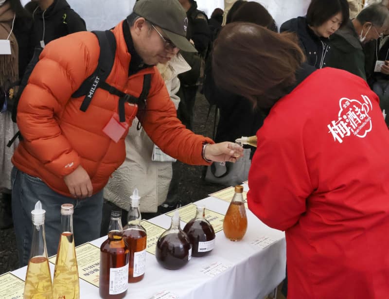 水戸・常磐神社で「梅酒まつり」　偕楽園の芳香に誘われ飲み比べ