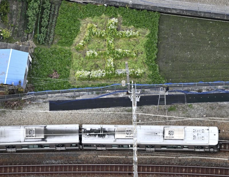 今年も畑に「生」の花文字　兵庫・尼崎、JR脱線19年