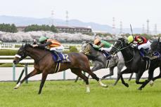 桜花賞、ステレンボッシュが優勝　競馬G1