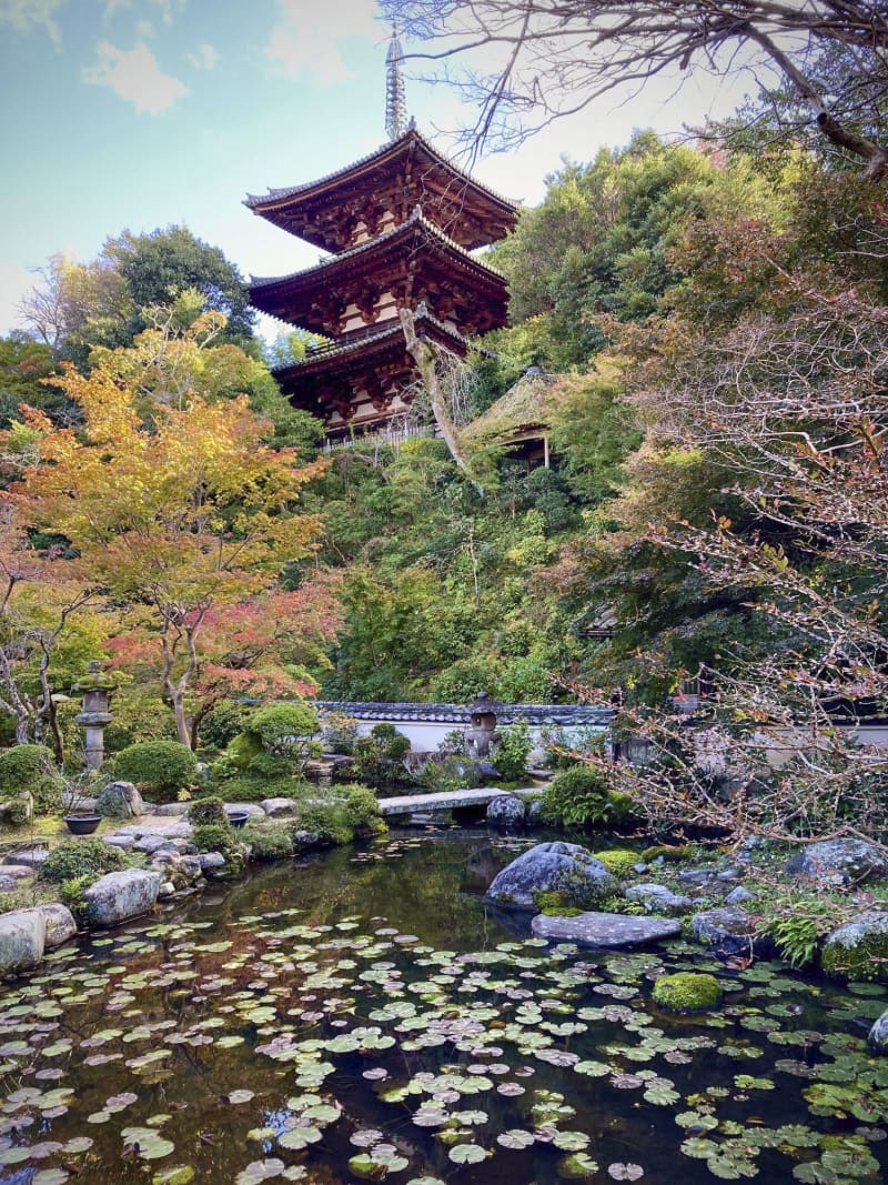 当麻寺「名園」を改修へ　劣化深刻、CFで資金募集