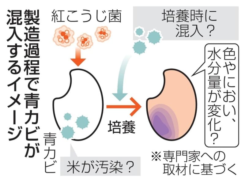 「異変に気付くのでは」　青カビ混入か、経路焦点