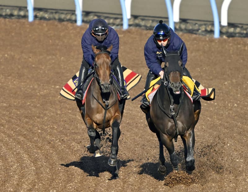 鋭い伸びのレガレイラ　競馬の皐月賞追い切り