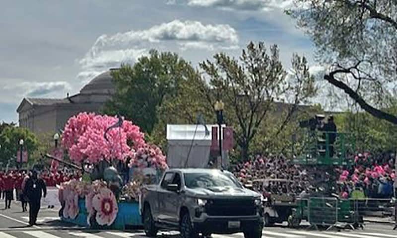桜祭り、空に響くマーチ　米ワシントンでパレード