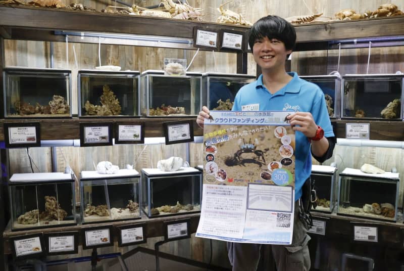 図鑑のような展示に挑戦、和歌山　すさみ町、エビカニ水族館