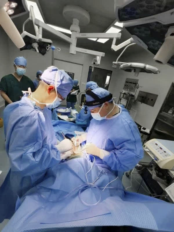 中国、ブタ肝臓を患者に初移植　経過順調と報道