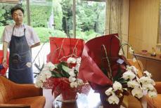 ラン鉢植え回収終え違法性再否定　熊本県知事選で初当選の木村知事