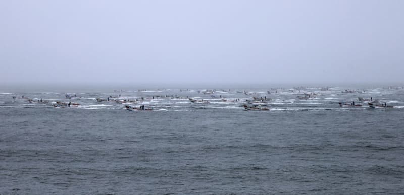 北方領土・貝殻島でコンブ漁開始　ロシアに入漁料、生育遅れで延期