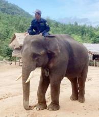 ゾウ譲り受け、軍の政治利用懸念　福岡市動物園にミャンマー人抗議