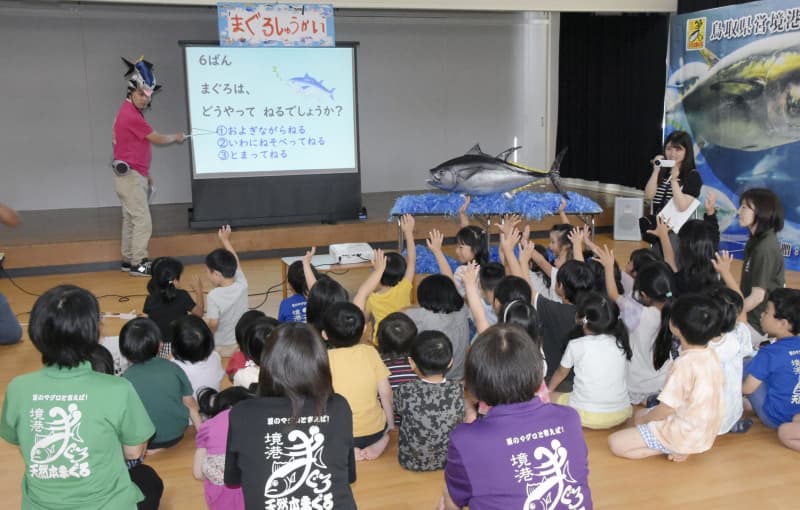 鳥取県の保育園で「マグロ集会」　クイズで生態学ぶ