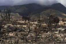 ハワイ山火事、40億ドル和解金　被災者2200人らに、基本合意