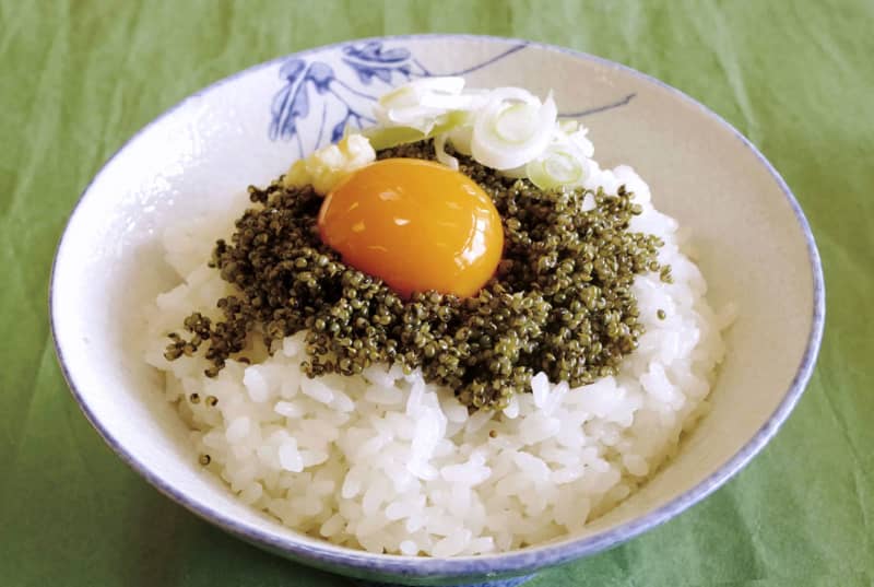 守れ「畑のキャビア」とんぶり　秋田・比内地域の伝統食材、技術継承
